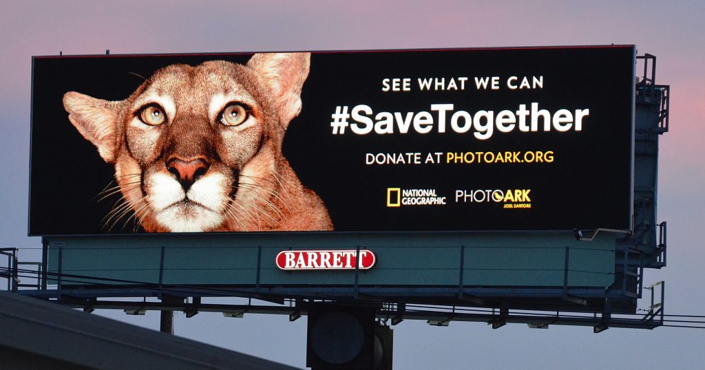 В глобальной DOOH-кампании в защиту диких животных #SaveTogether участвует 30 операторов