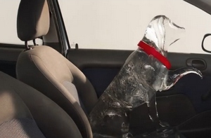 Dogs Trust заперло ледяную собаку в автомобиле