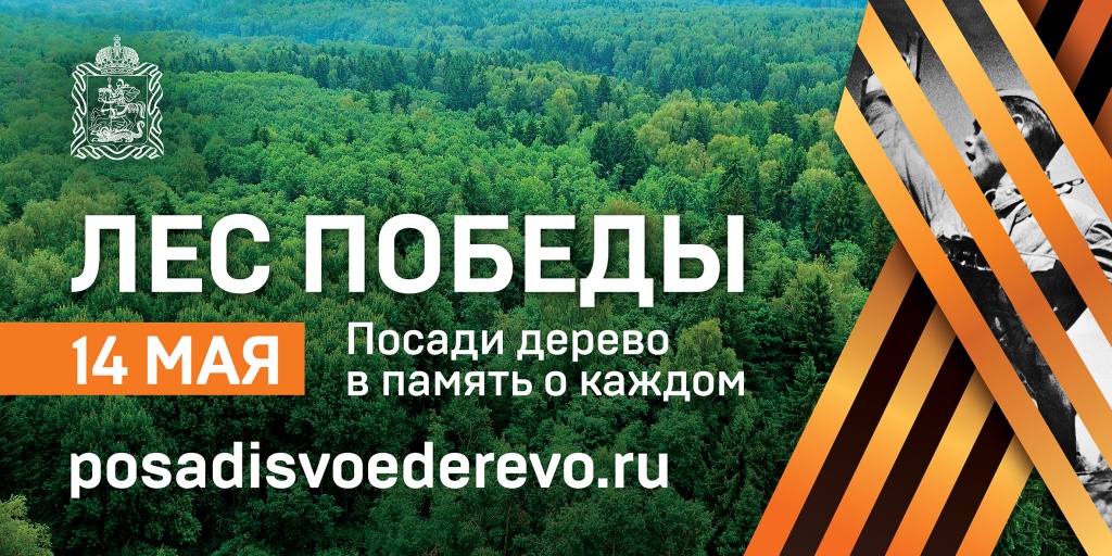 В Московской области размещается социальная реклама о восстановлении лесов 