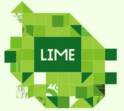 На Международном фестивале социальной рекламы Lime появилось две новые номинации