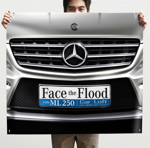 Face-the-Flood.jpg