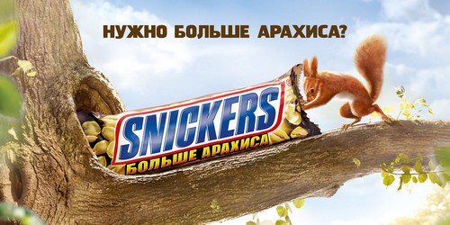 Snickers (1).jpg
