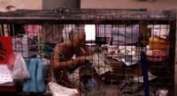 Агентство Publicis Hong Kong показало властям Гонконга нечеловеческие условия жизни бедняков