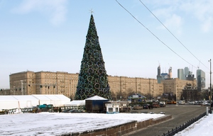 Самая высокая новогодняя елка страны претендует на попадание в Книгу рекордов России 