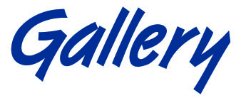 ФАС согласовала ходатайство о продаже «Гэллэри сервис»