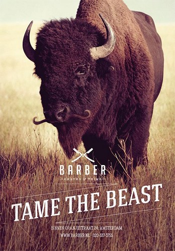 barber-bison.jpg