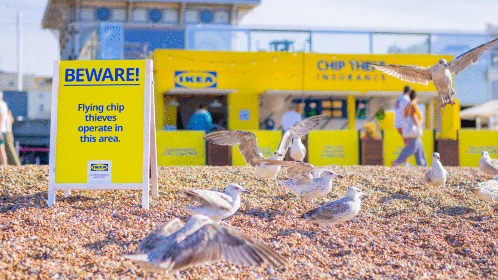 IKEA-chip-Theft-Seagulls.TQCpCXb4-1024x577.png