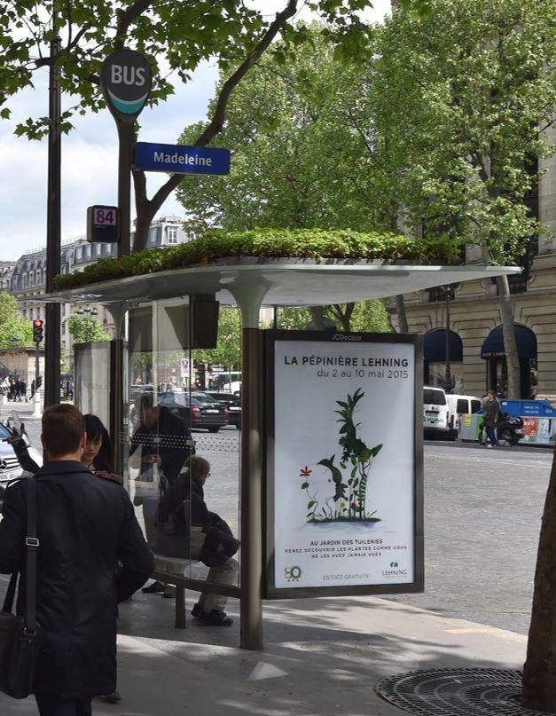 В Париже стало зеленее благодаря лекарственным растениям